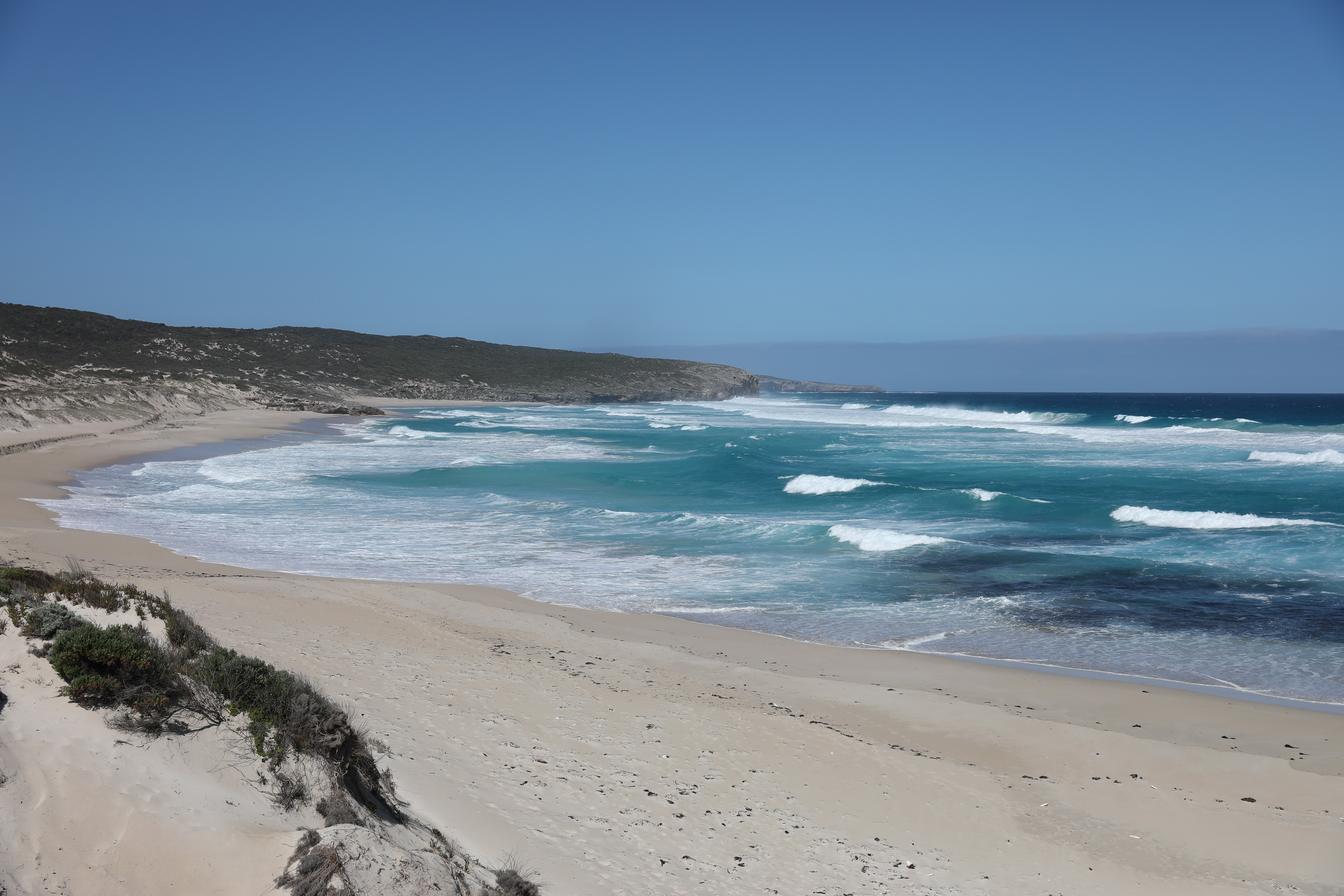 2019 09 30 14 15 26 Canon EOS 5D Mark IV 0009